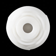 Whispering White Rose