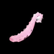 Pretty Pink Penetrator.
